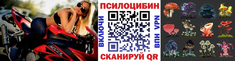 Купить закладки  Пионерский  Псилоцибиновые грибы Cubensis 
